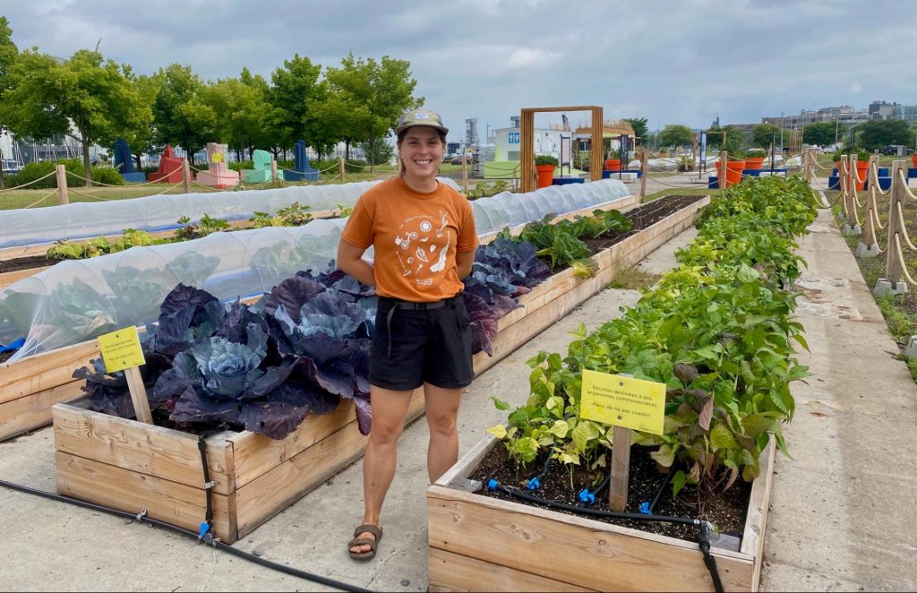 QuébéCulteurs plants seeds of urban farming in Quebec City The Quebec